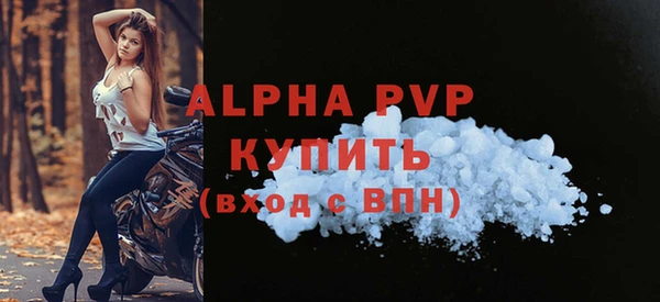 спиды Гатчина