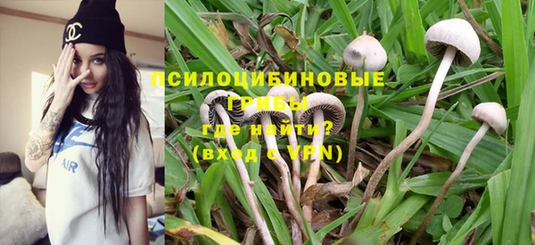 винт Нягань