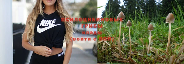 наркотики Няндома